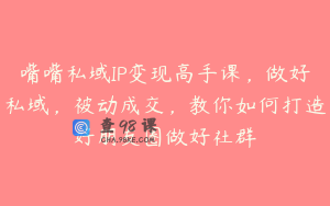 嘴嘴私域IP变现高手课，做好私域，被动成交，教你如何打造好朋友圈做好社群