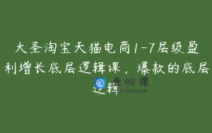 大圣淘宝天猫电商1-7层级盈利增长底层逻辑课，爆款的底层逻辑