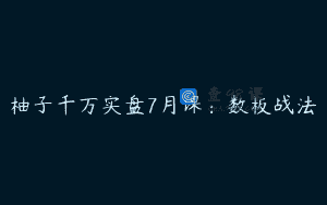 柚子千万实盘7月课：数板战法
