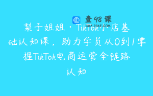 梨子姐姐·TikTok小店基础认知课，助力学员从0到1掌握TikTok电商运营全链路认知