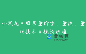 小黑龙《股票量价学，量柱，量线技术》视频讲座