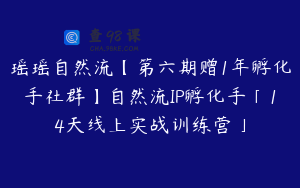 瑶瑶自然流【第六期赠1年孵化手社群】自然流IP孵化手「14天线上实战训练营」