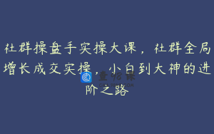 社群操盘手实操大课，社群全局增长成交实操，小白到大神的进阶之路
