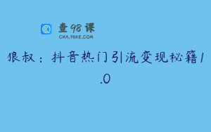 狼叔：抖音热门引流变现秘籍1.0