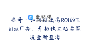 稳哥·如何投出高ROI的TikTok广告，开拓独立站卖家流量新蓝海