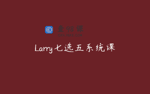 Larry七选五系统课