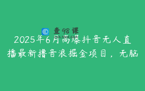 2025年6月高爆抖音无人直播最新撸音浪掘金项目，无脑