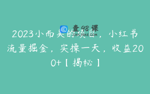2023小而美的项目，小红书流量掘金，实操一天，收益200+【揭秘】