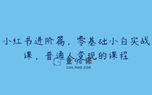 小红书进阶篇，零基础小白实战课，普通人变现的课程