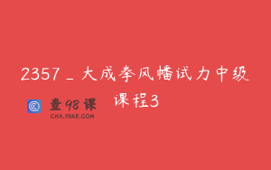 2357_大成拳风幡试力中级课程3