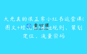 大光真的很正常小红书运营课(图文+短视频)基础规则、策划定位、流量密码