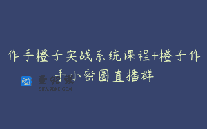 作手橙子实战系统课程+橙子作手小密圈直播群