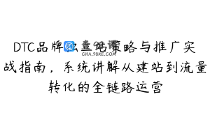 DTC品牌独立站策略与推广实战指南，系统讲解从建站到流量转化的全链路运营