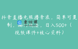 抖音直播无限撸音浪，简单可复制，偏门玩法，日入500+（视频课件+核心资料）