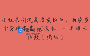小红书引流高质量粉丝，后续多个变现渠道，0成本，一单赚三位数【揭秘】