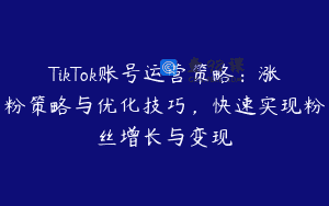 TikTok账号运营策略：涨粉策略与优化技巧，快速实现粉丝增长与变现