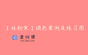 【林初寒】调色案例及练习图