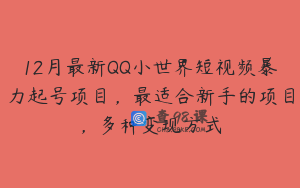 12月最新QQ小世界短视频暴力起号项目，最适合新手的项目，多种变现方式