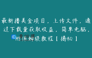 最新撸美金项目，上传文件，通过下载量获取收益，简单无脑，附保姆级教程【揭秘】