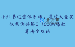 小红书运营体系课：通过大量实战案例拆解0-1000W爆款算法全攻略