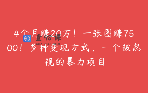 4个月赚20万！一张图赚7500！多种变现方式，一个被忽视的暴力项目