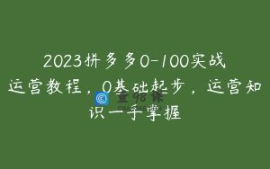 2023拼多多0-100实战运营教程，0基础起步，运营知识一手掌握