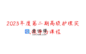 2023年度第二期高级护理实践领导力课程