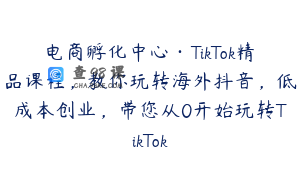 电商孵化中心·TikTok精品课程，教你玩转海外抖音，低成本创业，带您从0开始玩转TikTok