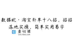 数据蛇·淘宝补单十八招，招招落地实操，简单实用易学