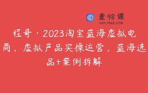 程哥·2023淘宝蓝海虚拟电商，虚拟产品实操运营，蓝海选品+案例拆解