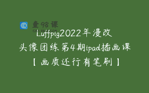Luffpig2022年漫改头像团练第4期ipad插画课【画质还行有笔刷】