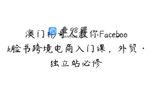 澳门彬哥人教你Facebook脸书跨境电商入门课，外贸·独立站必修