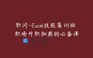职问-Excel技能集训班 职场升职加薪的必备课