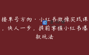 接单号方向·小红书微操实践课，快人一步，提前掌握小红书爆款玩法