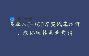 美业人0-100万实战落地课，教你玩转美业营销