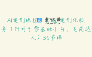 AI定制课程，打造 定制化服务（针对于零基础小白、电商达人）36节课