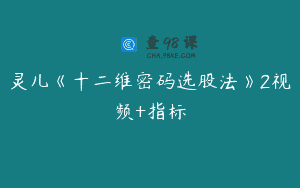 灵儿《十二维密码选股法》2视频+指标