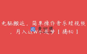 无脑搬运，简单操作音乐短视频，月入过W不是梦【揭秘】
