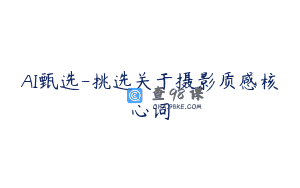 AI甄选-挑选关于摄影质感核心词