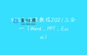 WPS大师级教程2021三合一（Word_PPT_Excel）