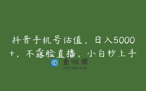 抖音手机号估值，日入5000+，不露脸直播，小白秒上手