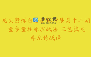 龙头密探白马密探仲展第十二期 量学量柱原理战法 三慧擒龙养龙特战课