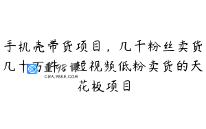 手机壳带货项目，几千粉丝卖货几十万件，短视频低粉卖货的天花板项目