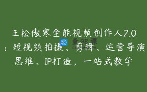 王松傲寒全能视频创作人2.0：短视频拍摄、剪辑、运营导演思维、IP打造，一站式教学