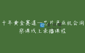十年黄金赛道—芯片产业机会洞察课线上录播课程