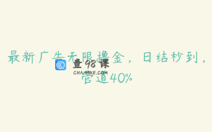 最新广告无限撸金，日结秒到，管道40%