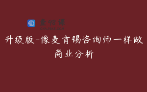 升级版-像麦肯锡咨询师一样做商业分析