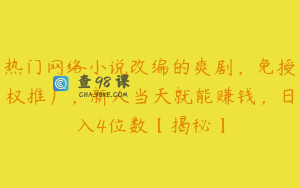 热门网络小说改编的爽剧,免授权推广,新人当天就能赚钱,日入4位数【揭秘】
