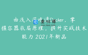 由浅入深吃透Docker，掌握容器底层原理，提升实战技术能力 2021年新品