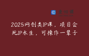 2025网创类IP课，项目会死IP永生，可操作一辈子